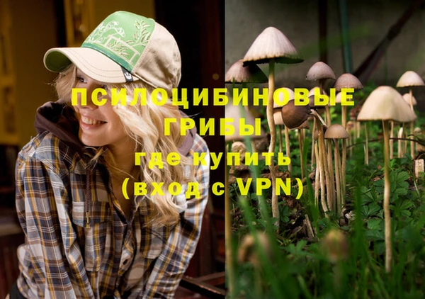 ПСИЛОЦИБИНОВЫЕ ГРИБЫ Алексеевка