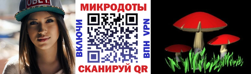 Купить  Мураши  Псилоцибиновые грибы Magic Shrooms 