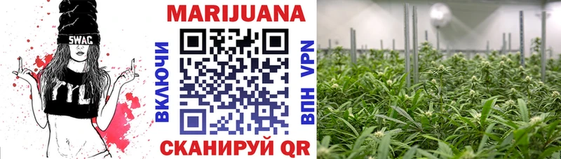 Купить закладки  Мураши  Конопля тримм 